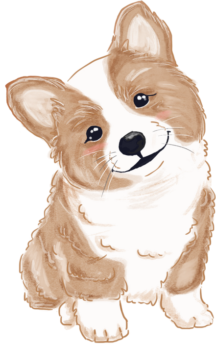 Corgi Dog Illustration